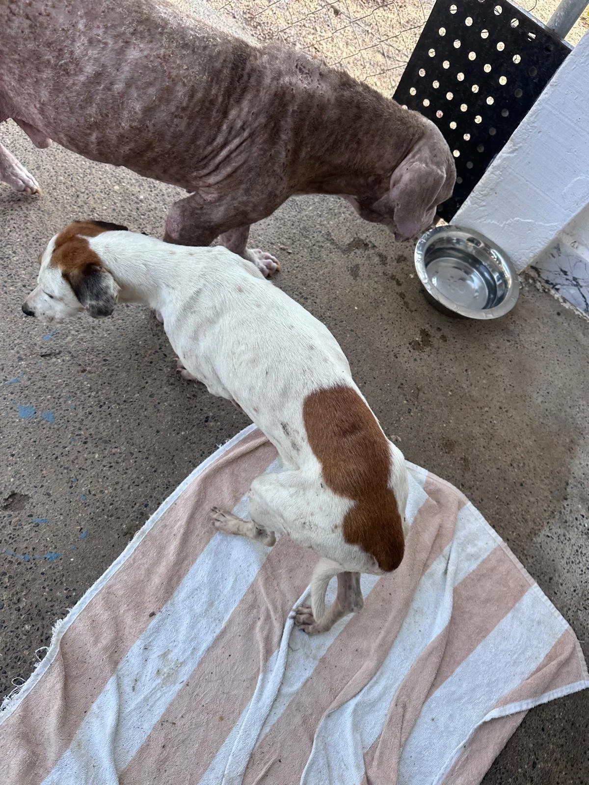 Celeste 12-31-25 B.jpeg