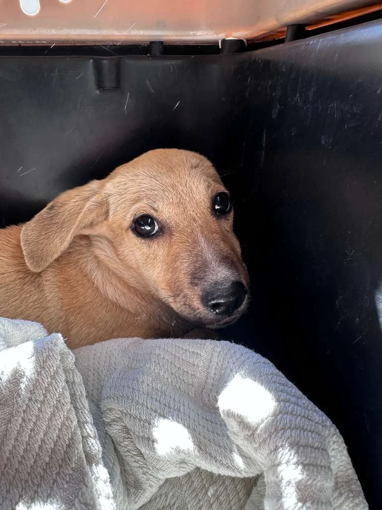 Noelle 12-31-25 A.jpeg