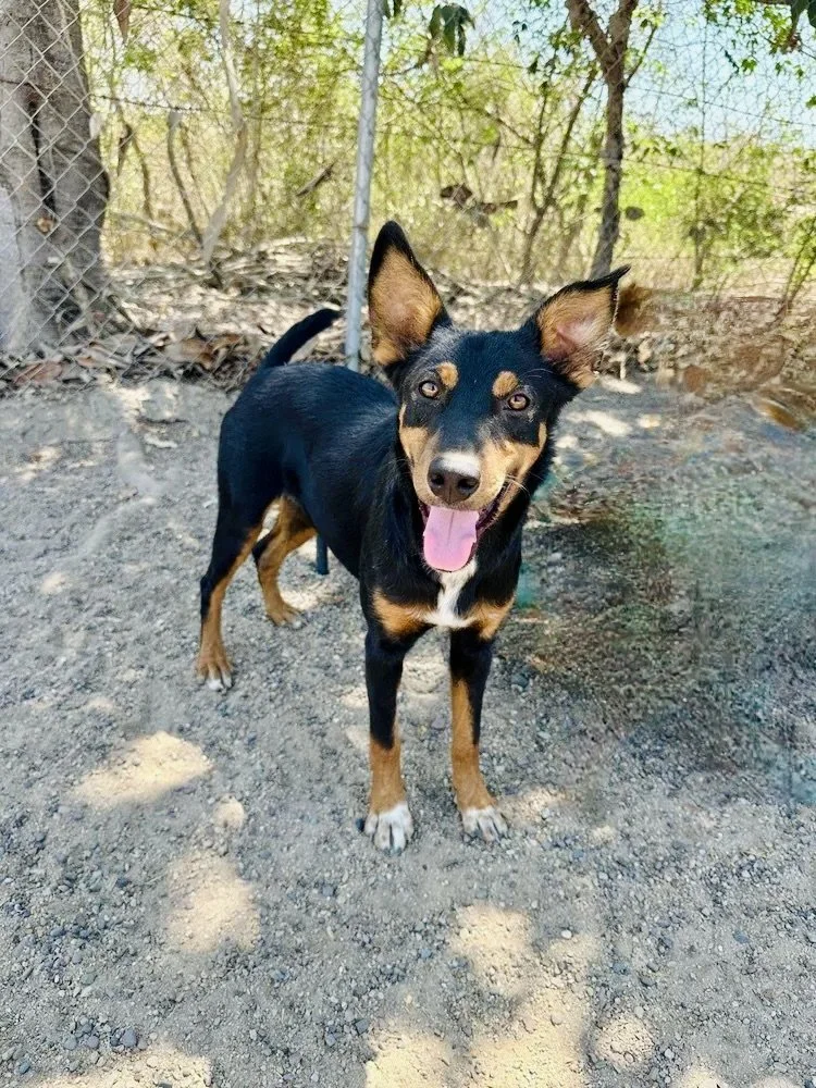 Paisley 12-31-25.jpeg