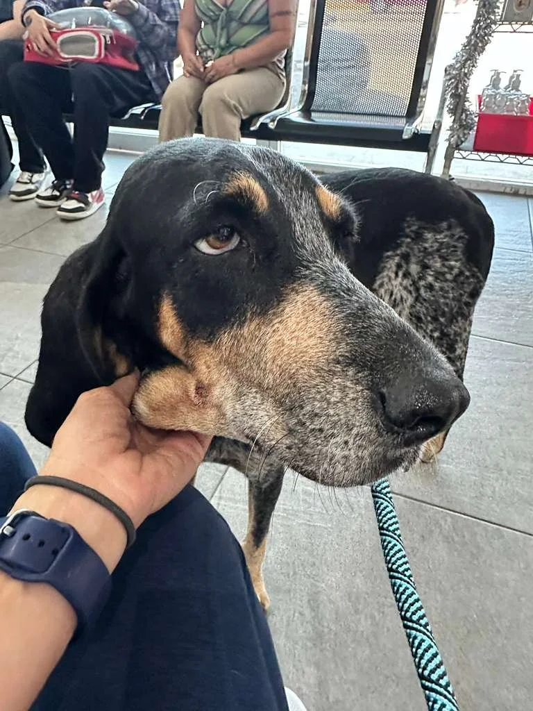 WhatsApp Image 2026-01-02 at 11.50.39 AM (2).jpeg