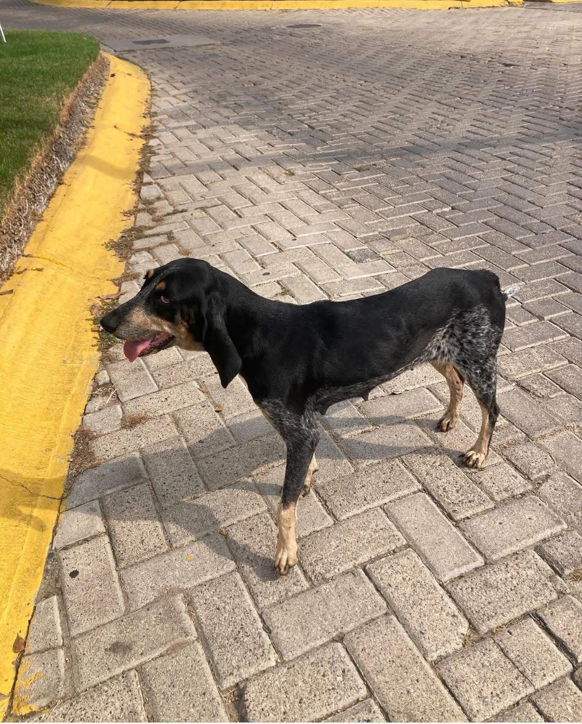 WhatsApp Image 2026-01-02 at 9.36.25 AM.jpeg