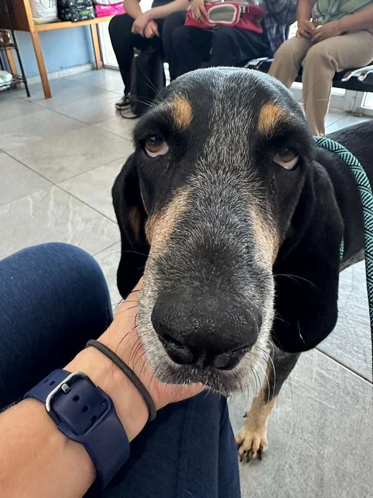 WhatsApp Image 2026-01-02 at 11.50.40 AM.jpeg