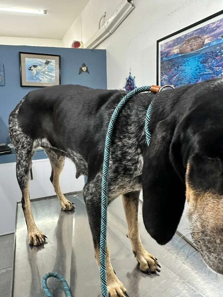 WhatsApp Image 2026-01-02 at 11.50.41 AM (1).jpeg