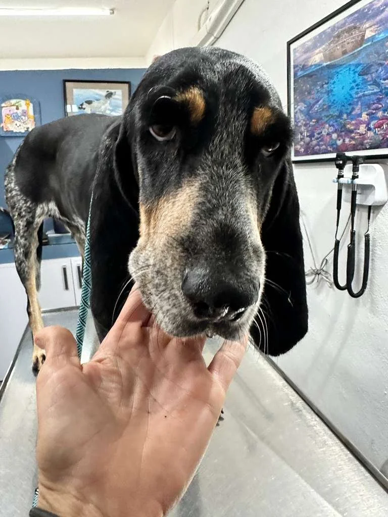 WhatsApp Image 2026-01-02 at 11.50.41 AM.jpeg