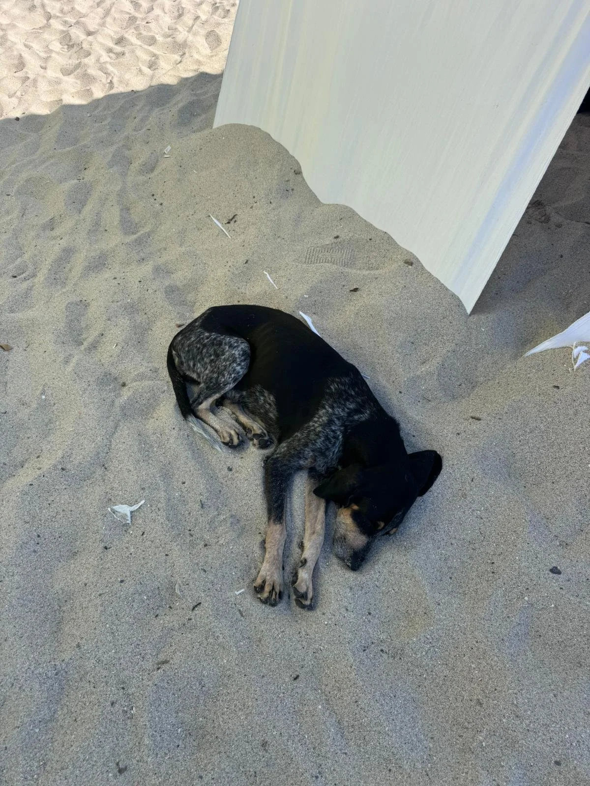 WhatsApp Image 2026-01-02 at 10.40.02 AM.jpeg