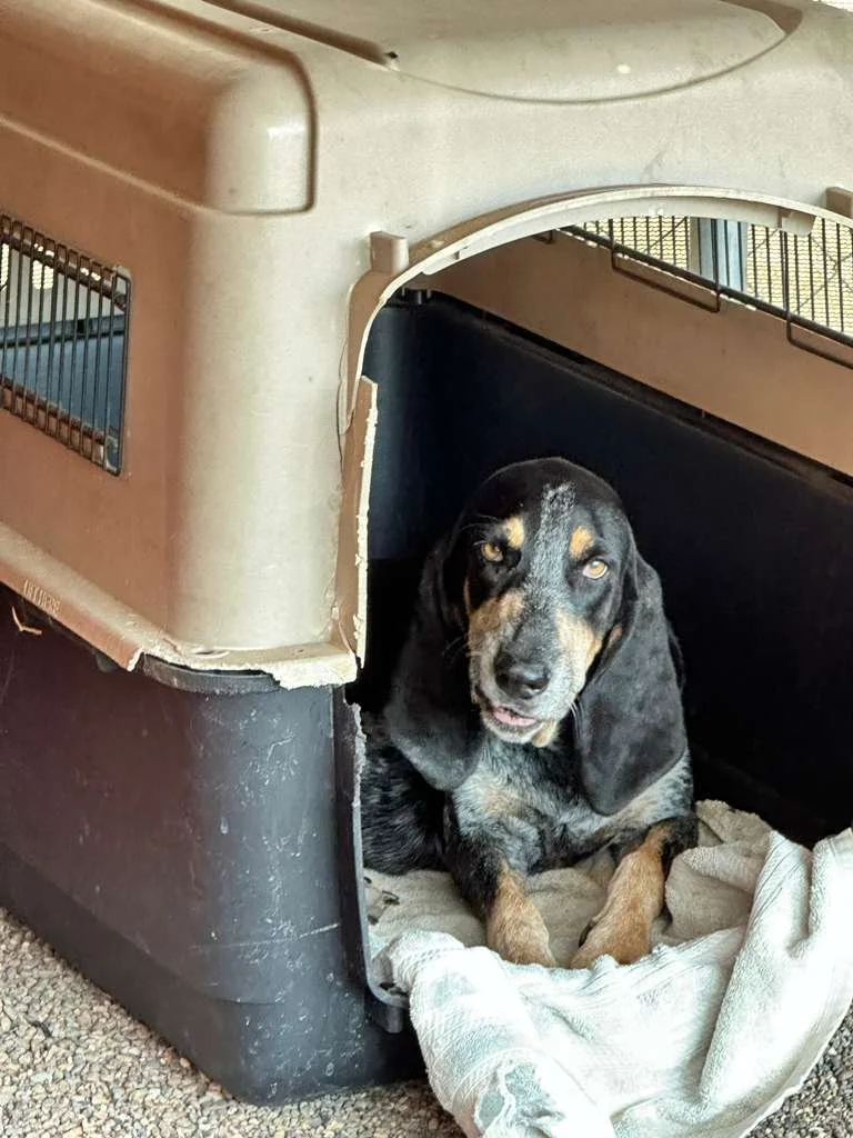 WhatsApp Image 2026-01-04 at 3.09.00 PM (1).jpeg