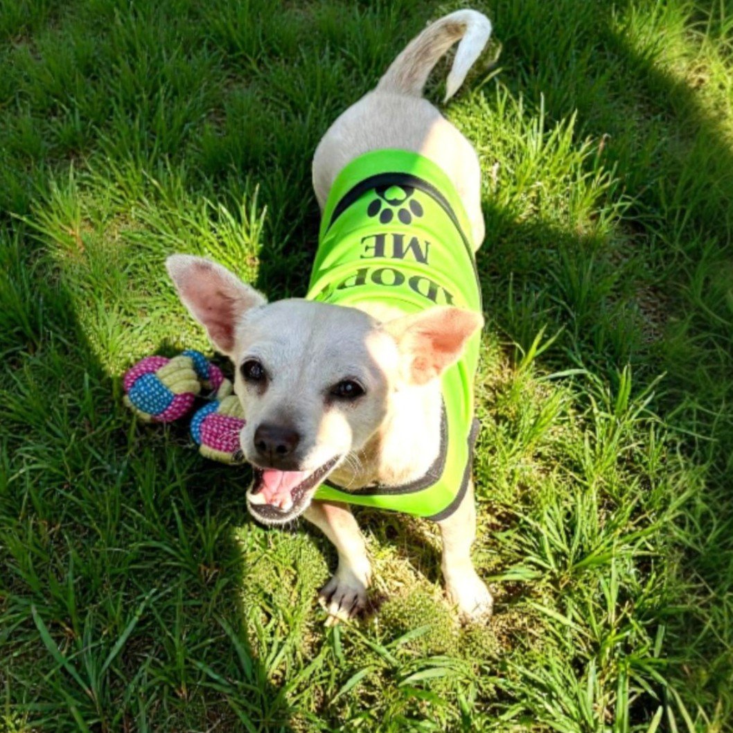 WhatsApp Image 2026-01-06 at 2.01.54 PM (2).jpg