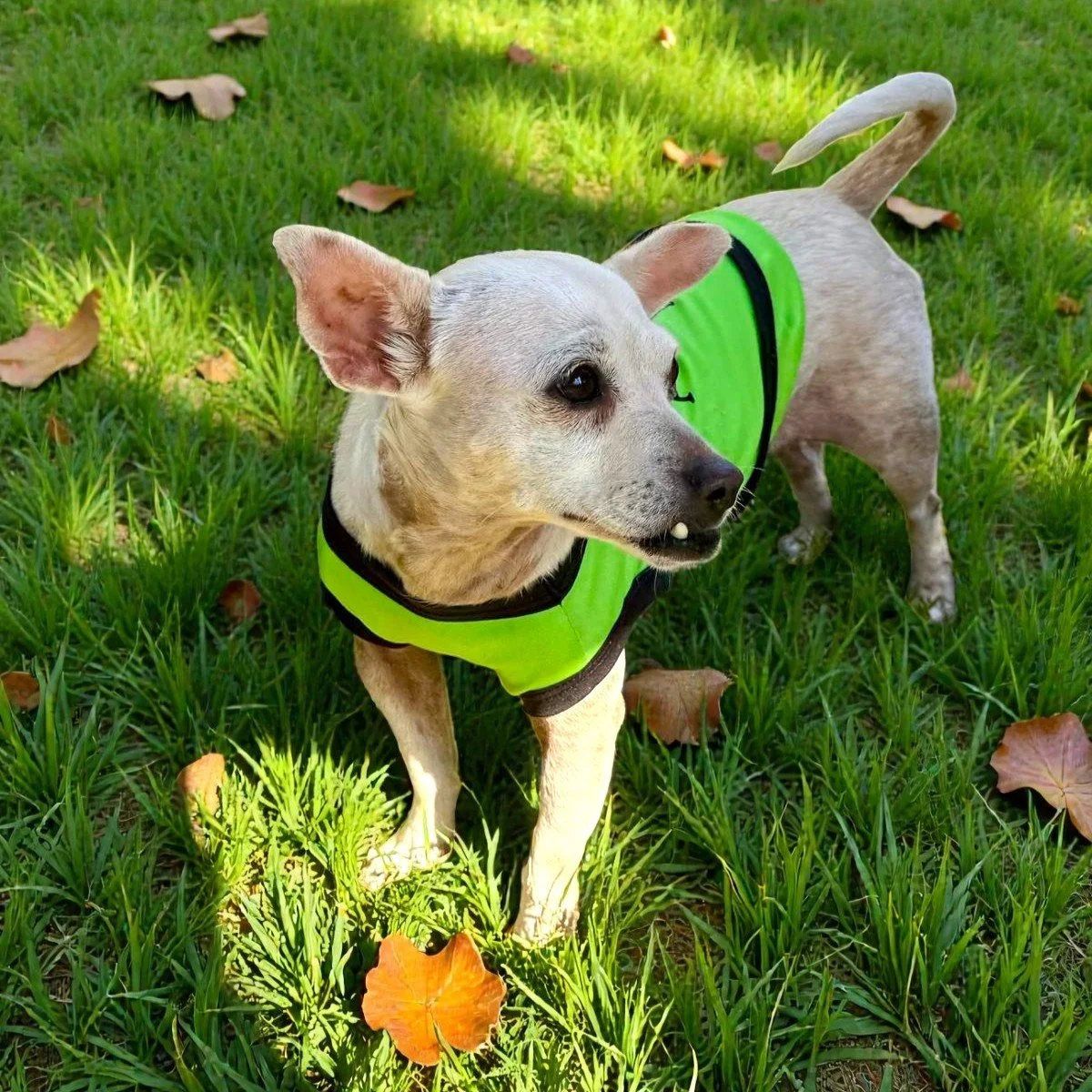 WhatsApp Image 2026-01-06 at 2.01.56 PMc.jpg