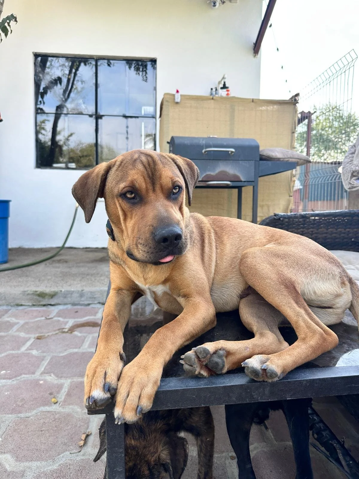 WhatsApp Image 2026-01-06 at 4.12.58 PM (1).jpeg