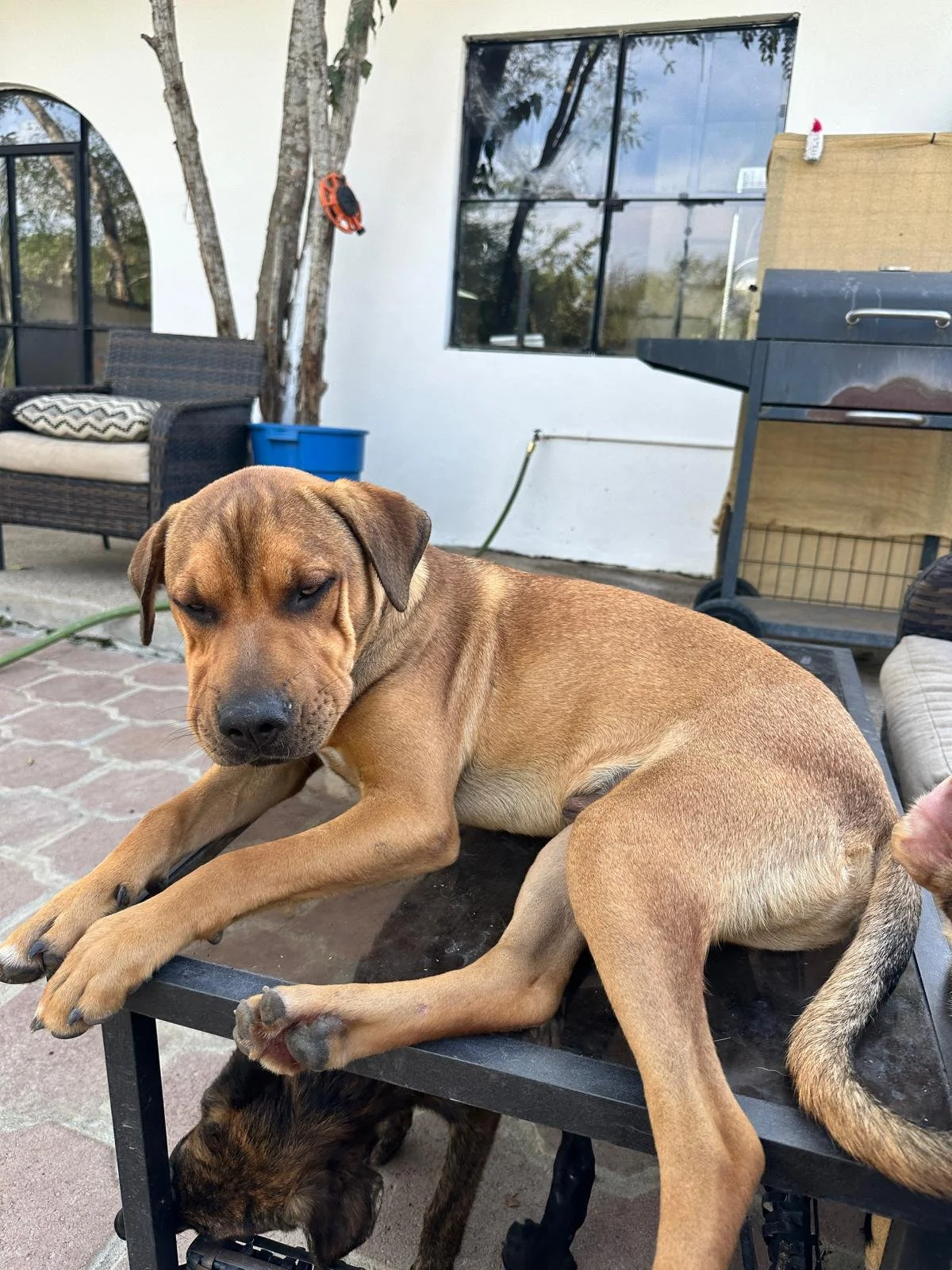 WhatsApp Image 2026-01-06 at 4.12.58 PM.jpeg