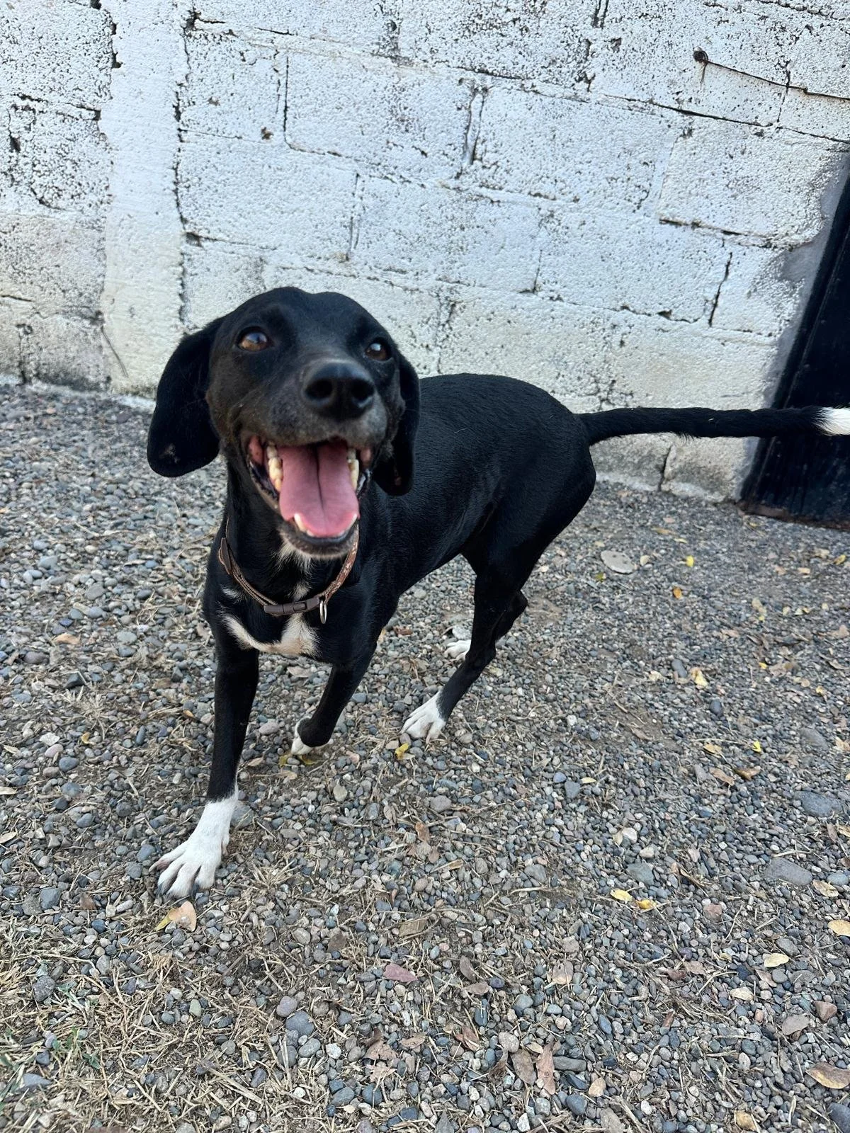 WhatsApp Image 2026-01-06 at 4.13.32 PM (3).jpeg