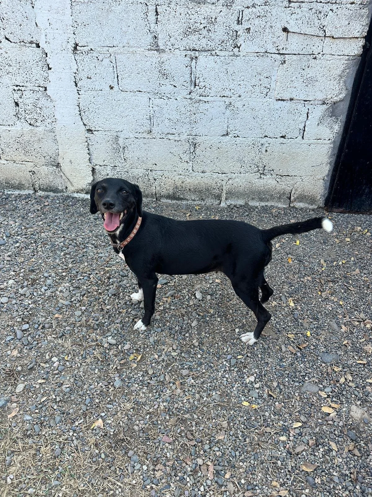 WhatsApp Image 2026-01-06 at 4.13.32 PM (2).jpeg