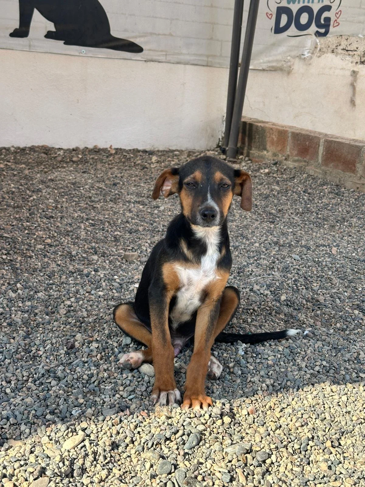 WhatsApp Image 2026-01-06 at 4.13.41 PM.jpeg