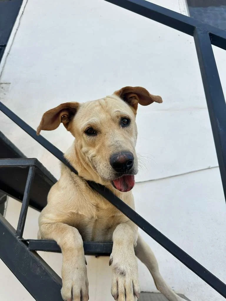 WhatsApp Image 2026-01-06 at 4.14.18 PM (1).jpeg