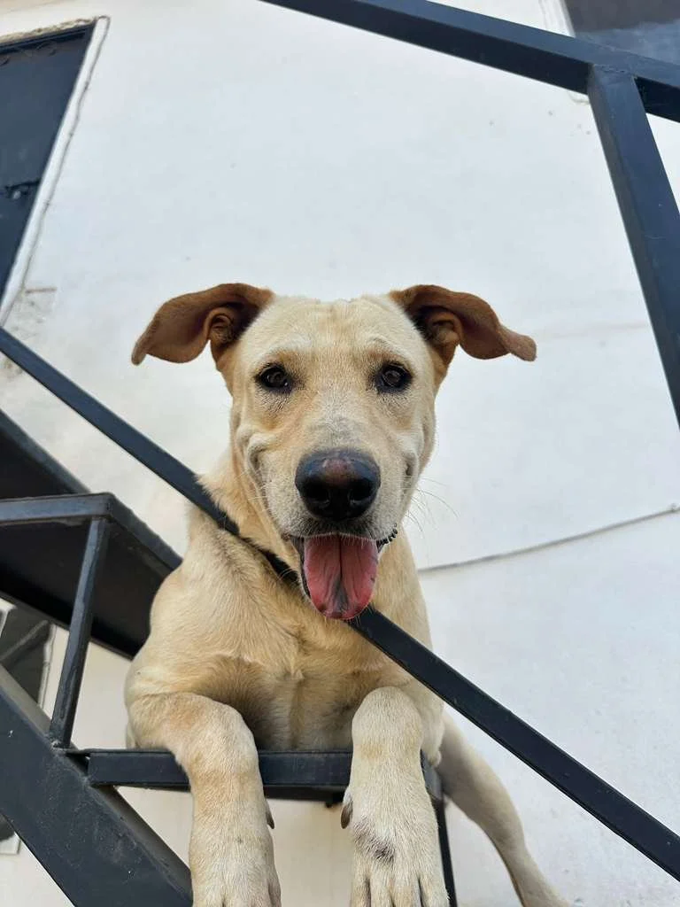 WhatsApp Image 2026-01-06 at 4.14.18 PM.jpeg