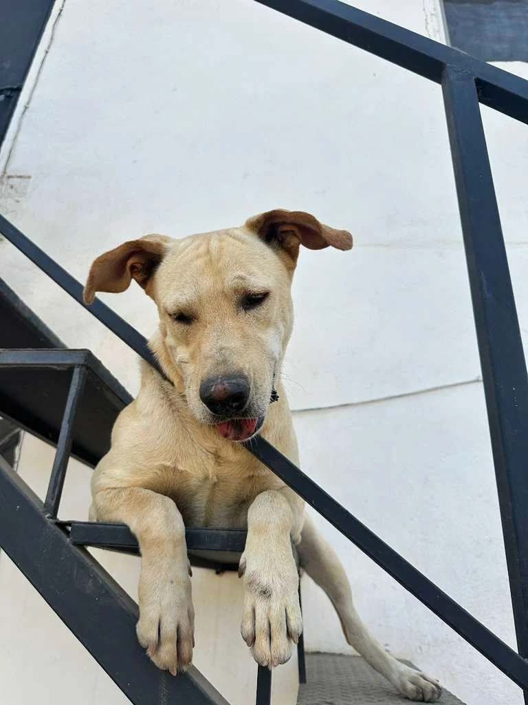 WhatsApp Image 2026-01-06 at 4.14.19 PM.jpeg