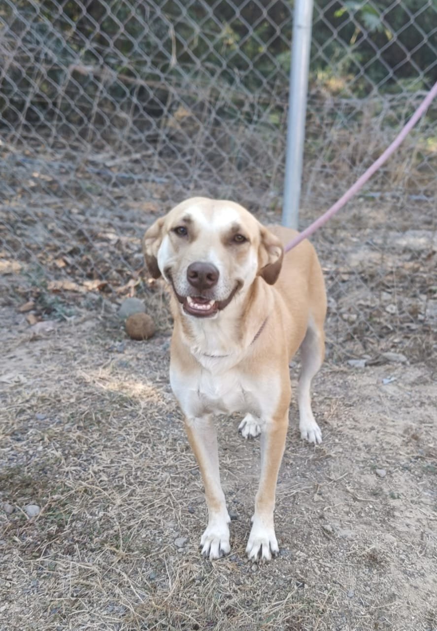 WhatsApp Image 2026-01-07 at 10.11.44 AM.jpeg