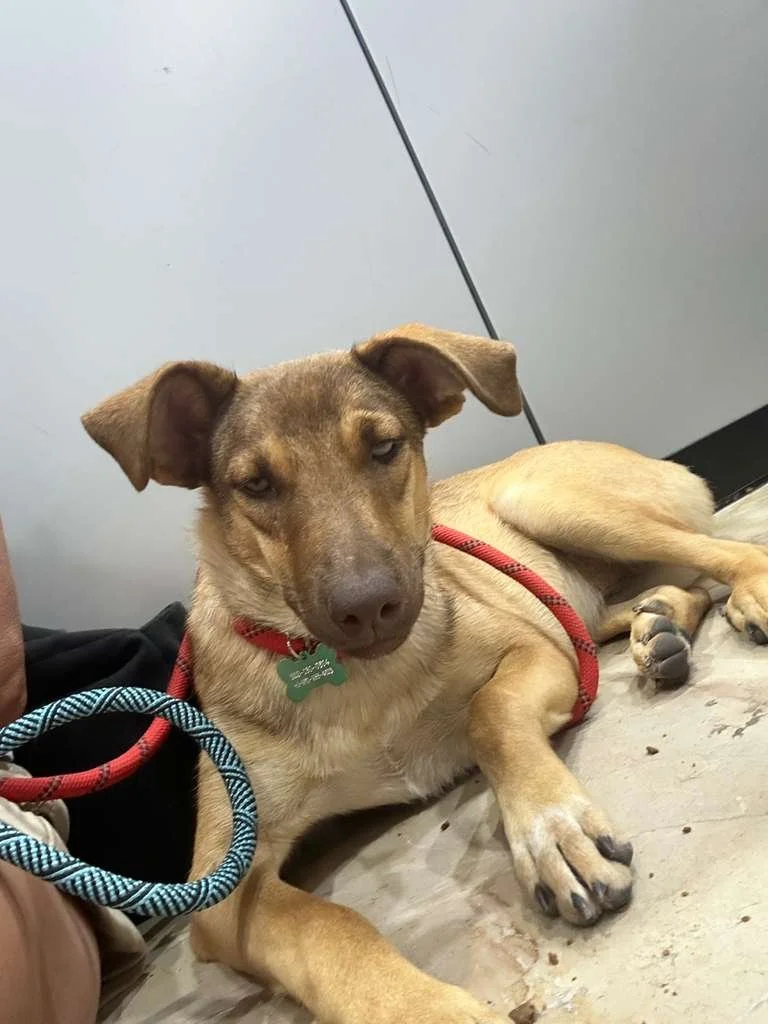 WhatsApp Image 2026-01-07 at 3.34.41 PM (1).jpeg