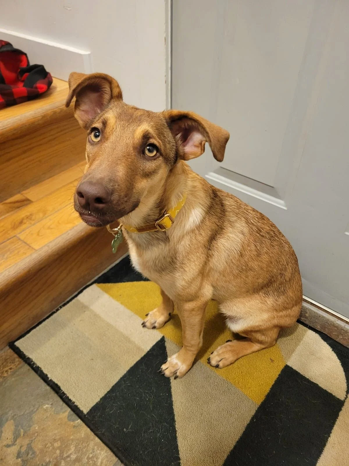 WhatsApp Image 2026-01-08 at 8.07.28 AM.jpeg