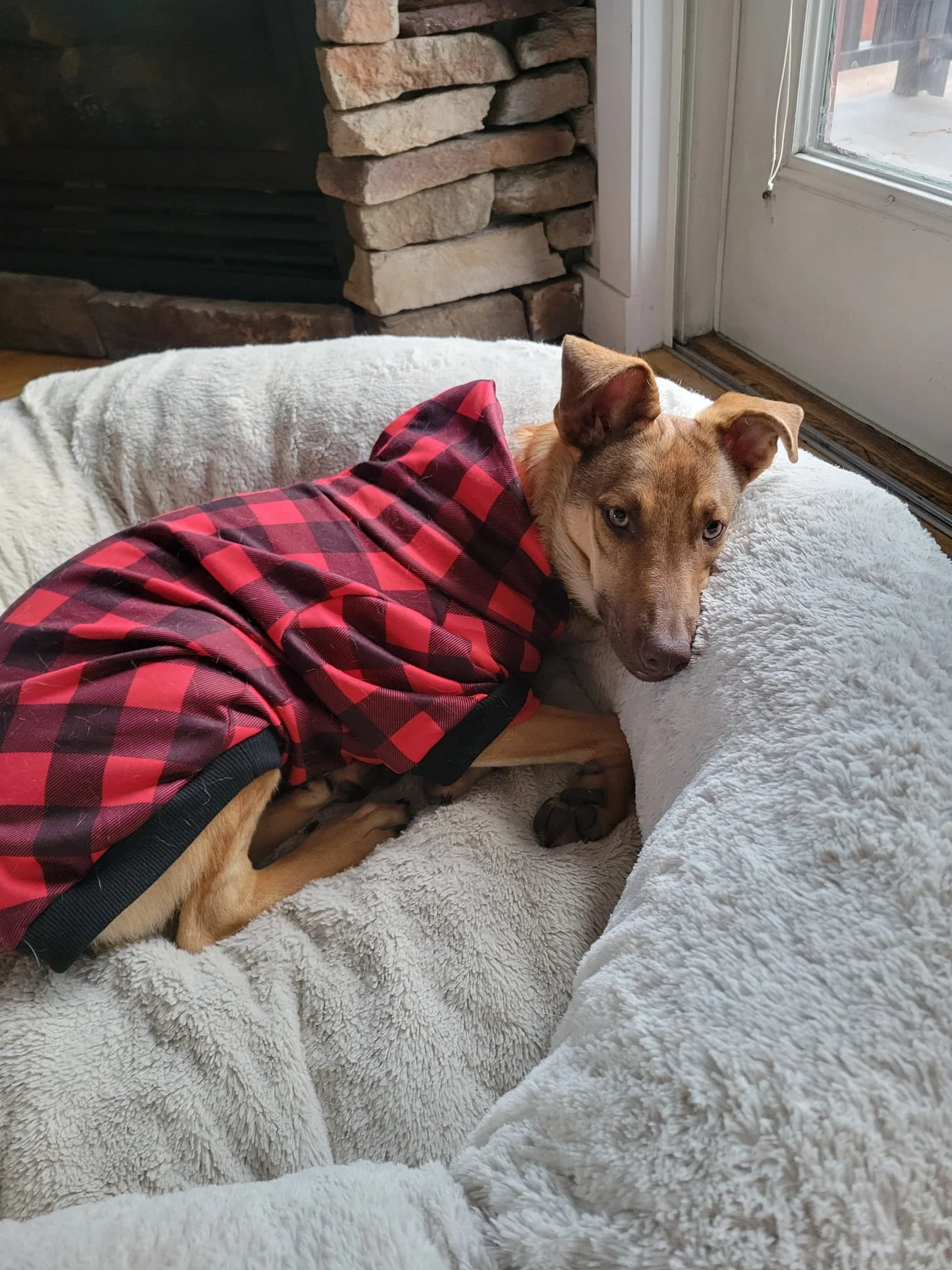 WhatsApp Image 2026-01-08 at 11.10.16 AM.jpeg