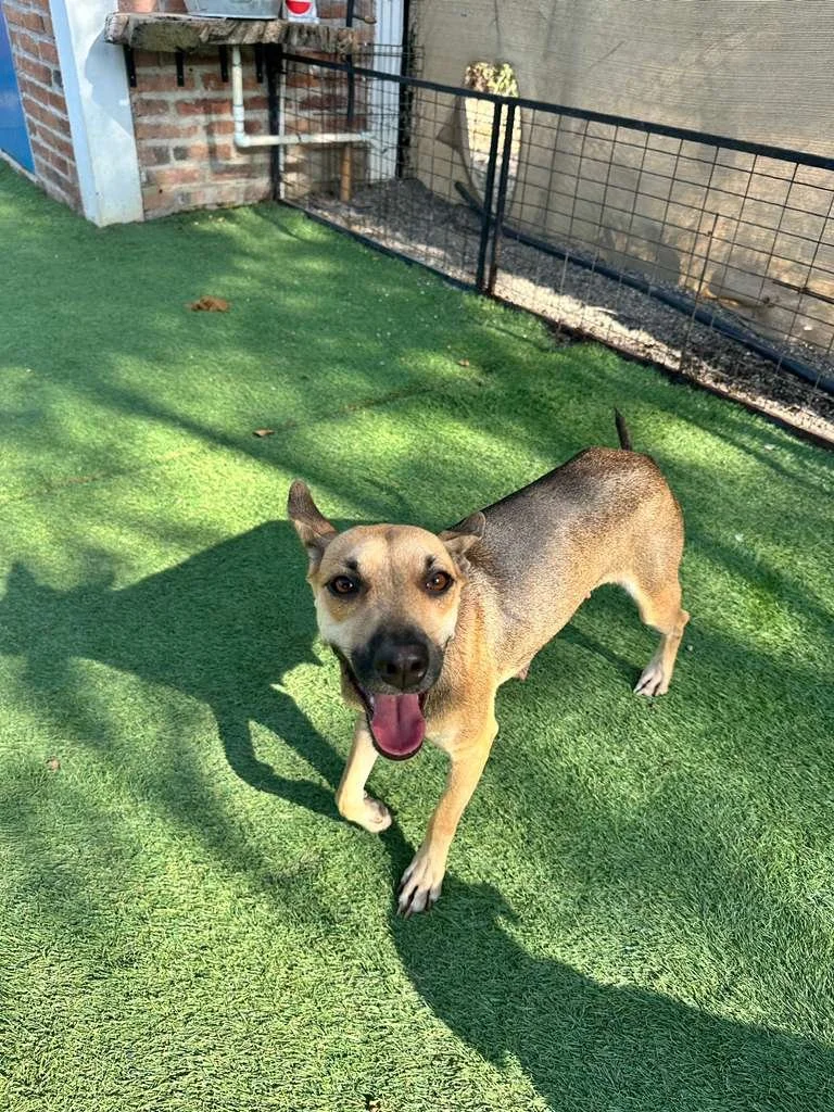 WhatsApp Image 2026-01-06 at 4.16.20 PM.jpeg