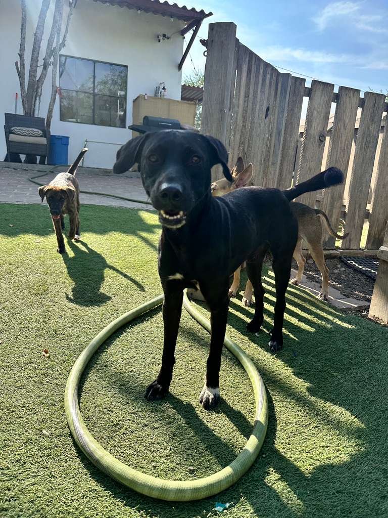 WhatsApp Image 2026-01-06 at 4.16.05 PM.jpeg