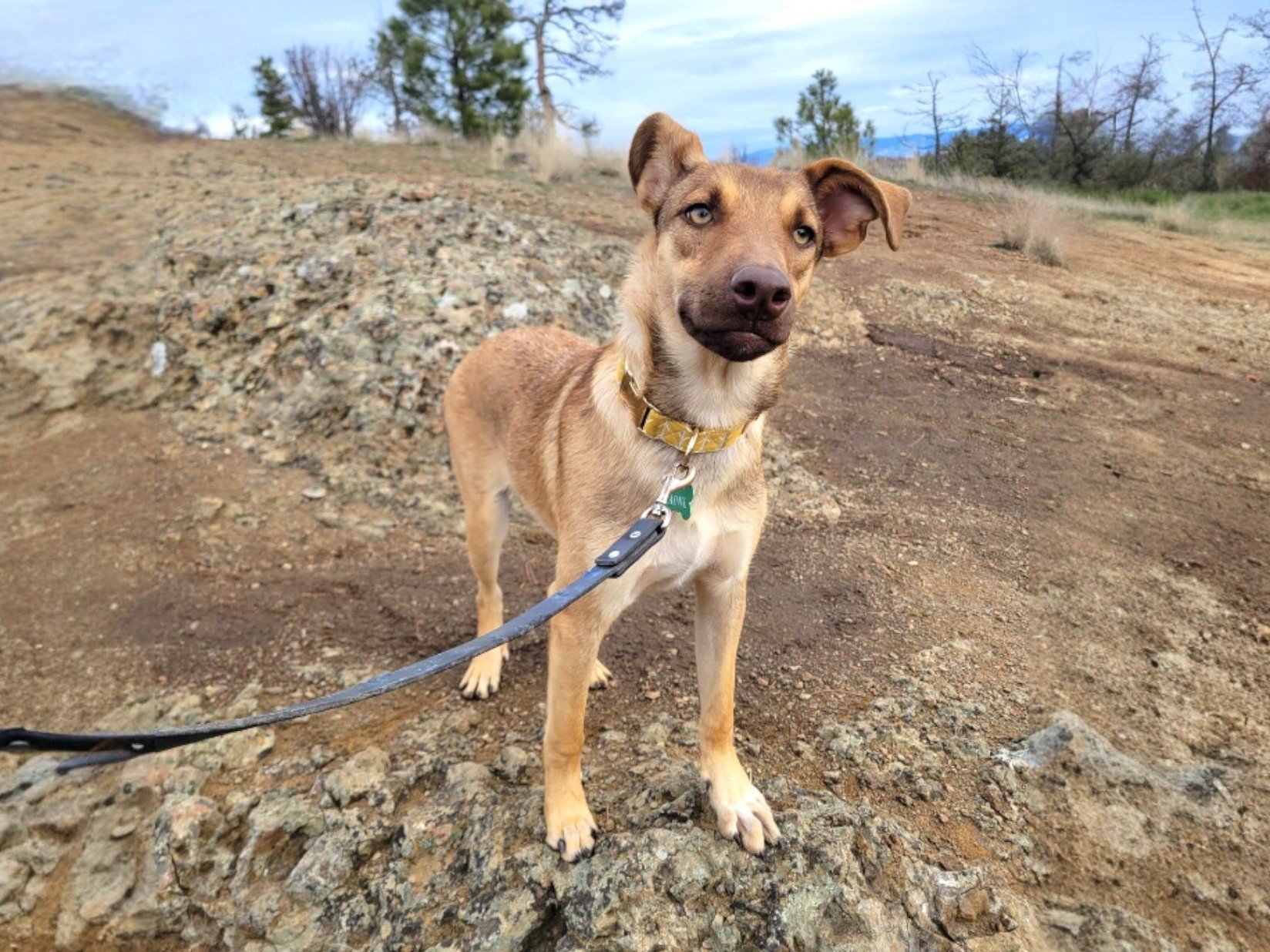 WhatsApp Image 2026-01-10 at 6.40.20 PM22.jpg