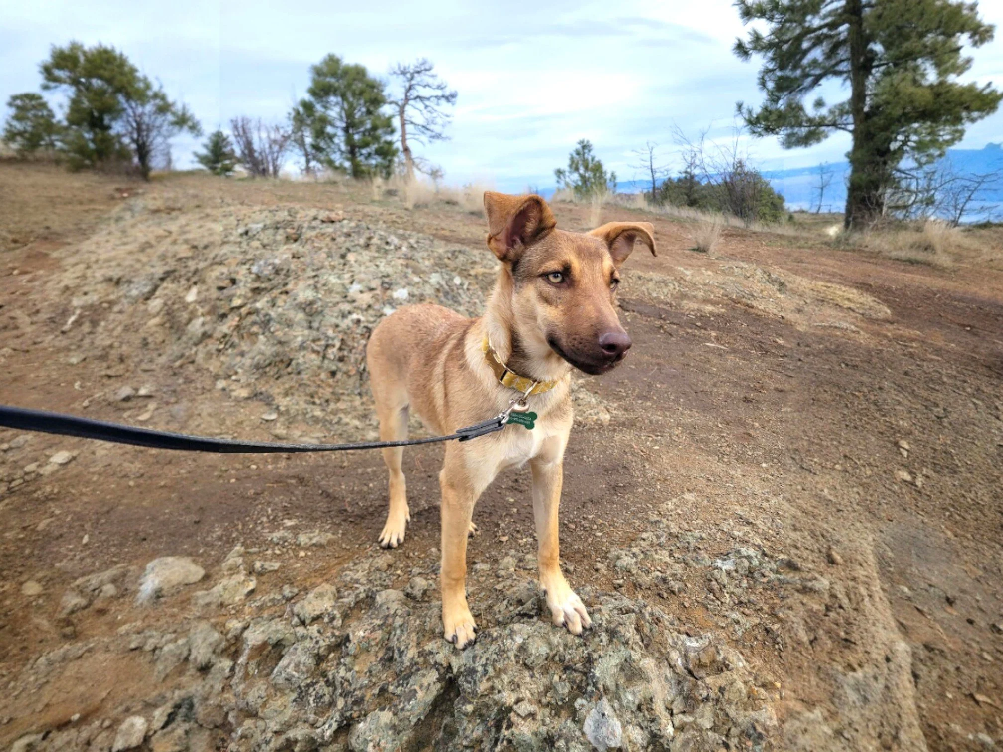 WhatsApp Image 2026-01-10 at 6.40.33 PM.jpg