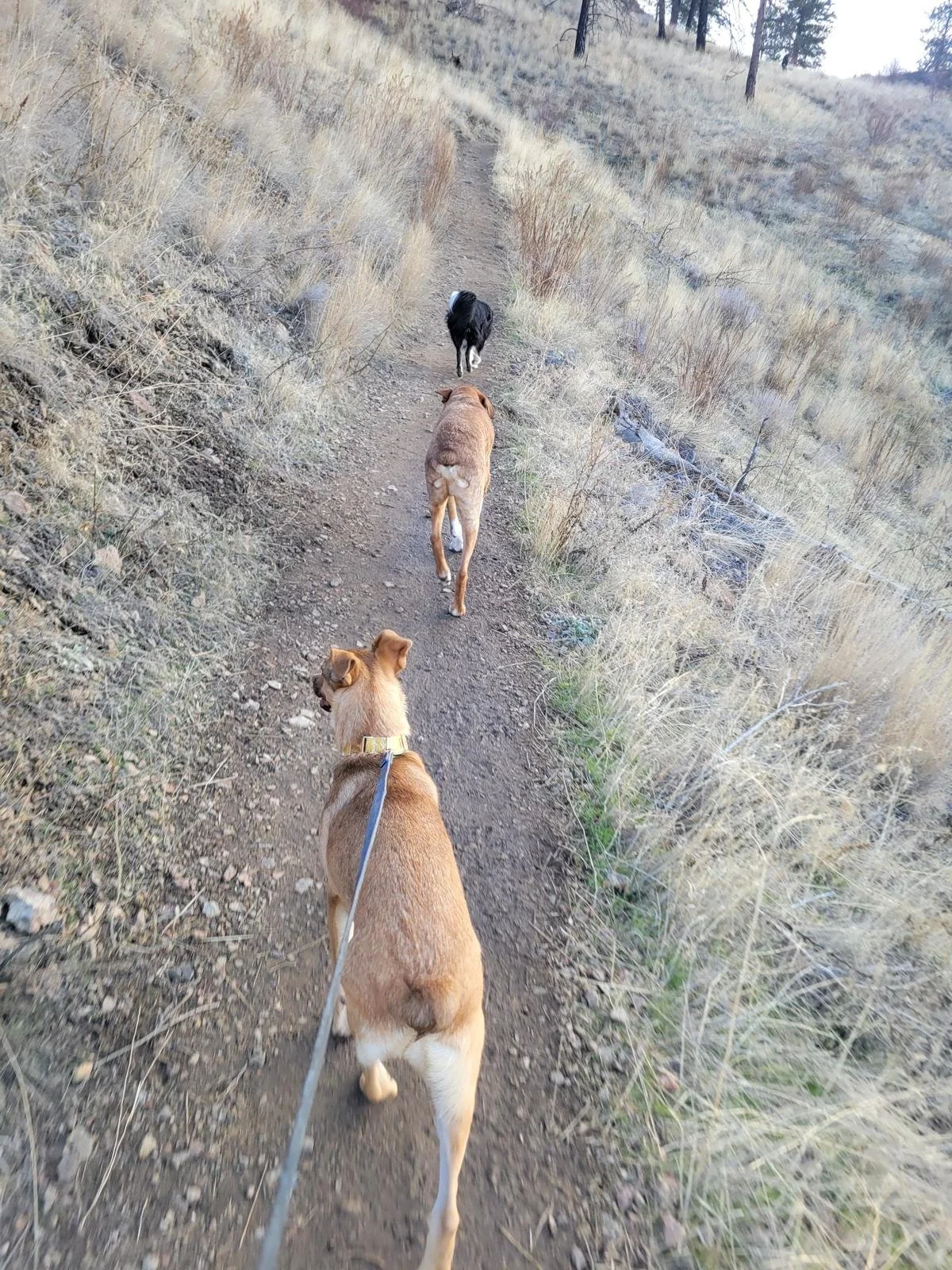 WhatsApp Image 2026-01-10 at 6.40.33 PM (1).jpeg