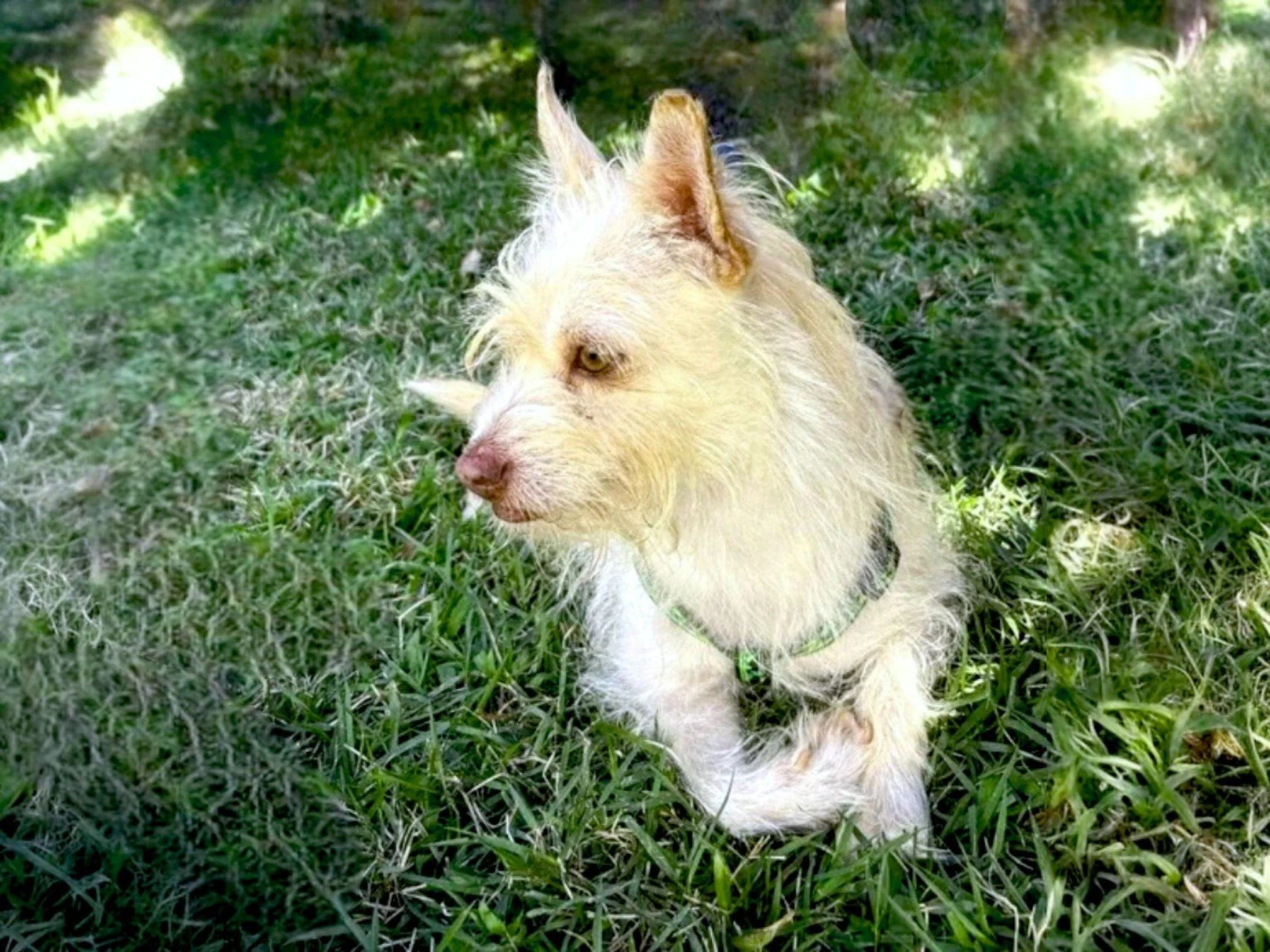 Guero+12-11-25+ (2).jpg