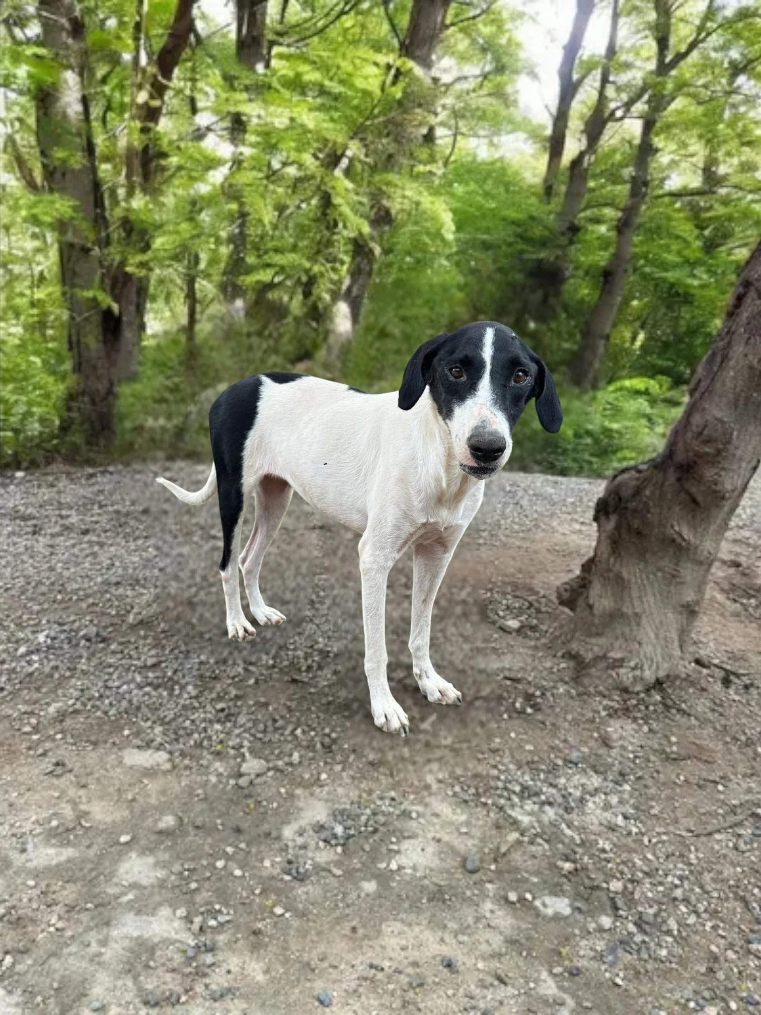 WhatsApp Image 2025-06-24 at 16.25.24_b8d196eb (2).jpg