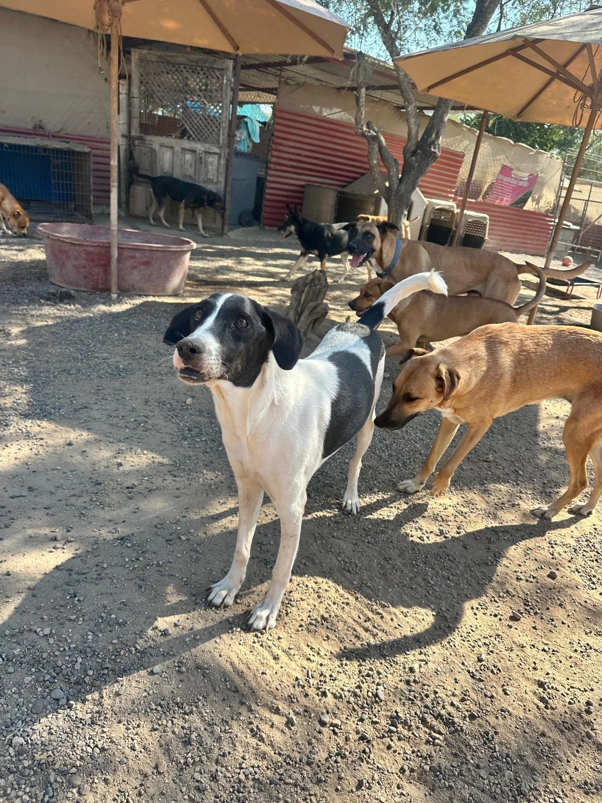 WhatsApp Image 2026-01-10 at 6.23.26 PM (1).jpeg