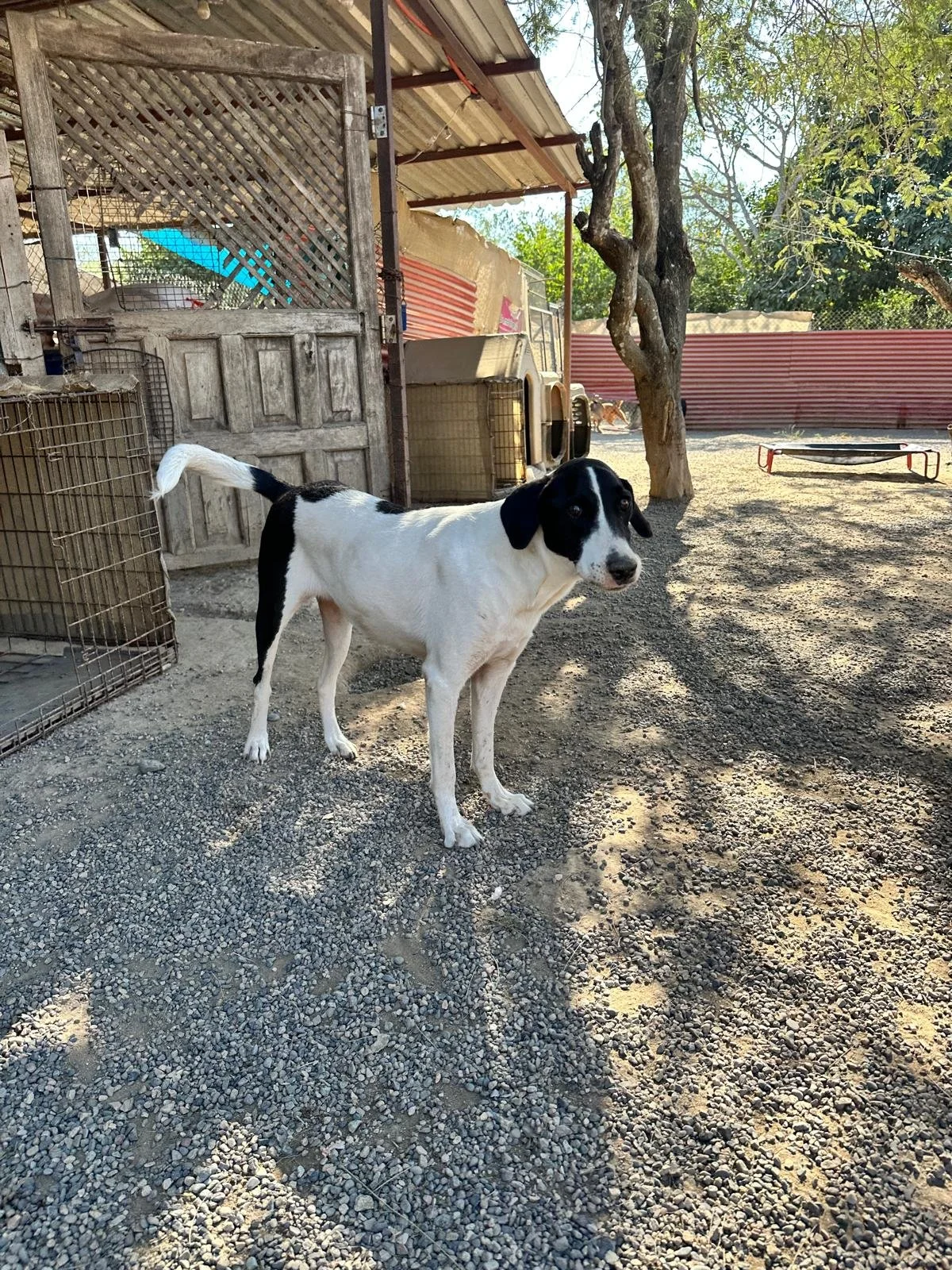 WhatsApp Image 2026-01-10 at 6.23.26 PM (4).jpeg