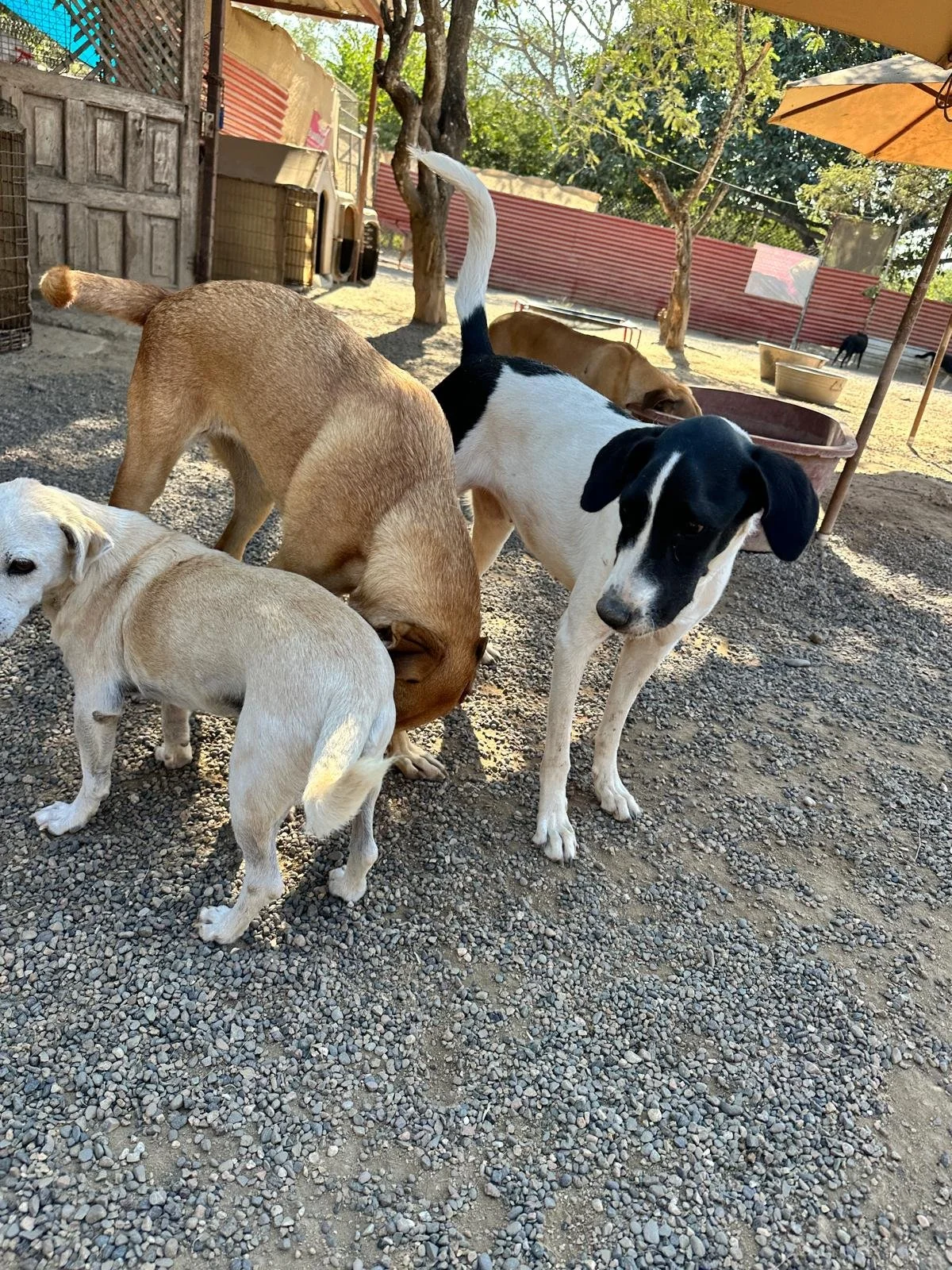 WhatsApp Image 2026-01-10 at 6.23.26 PM (5).jpeg