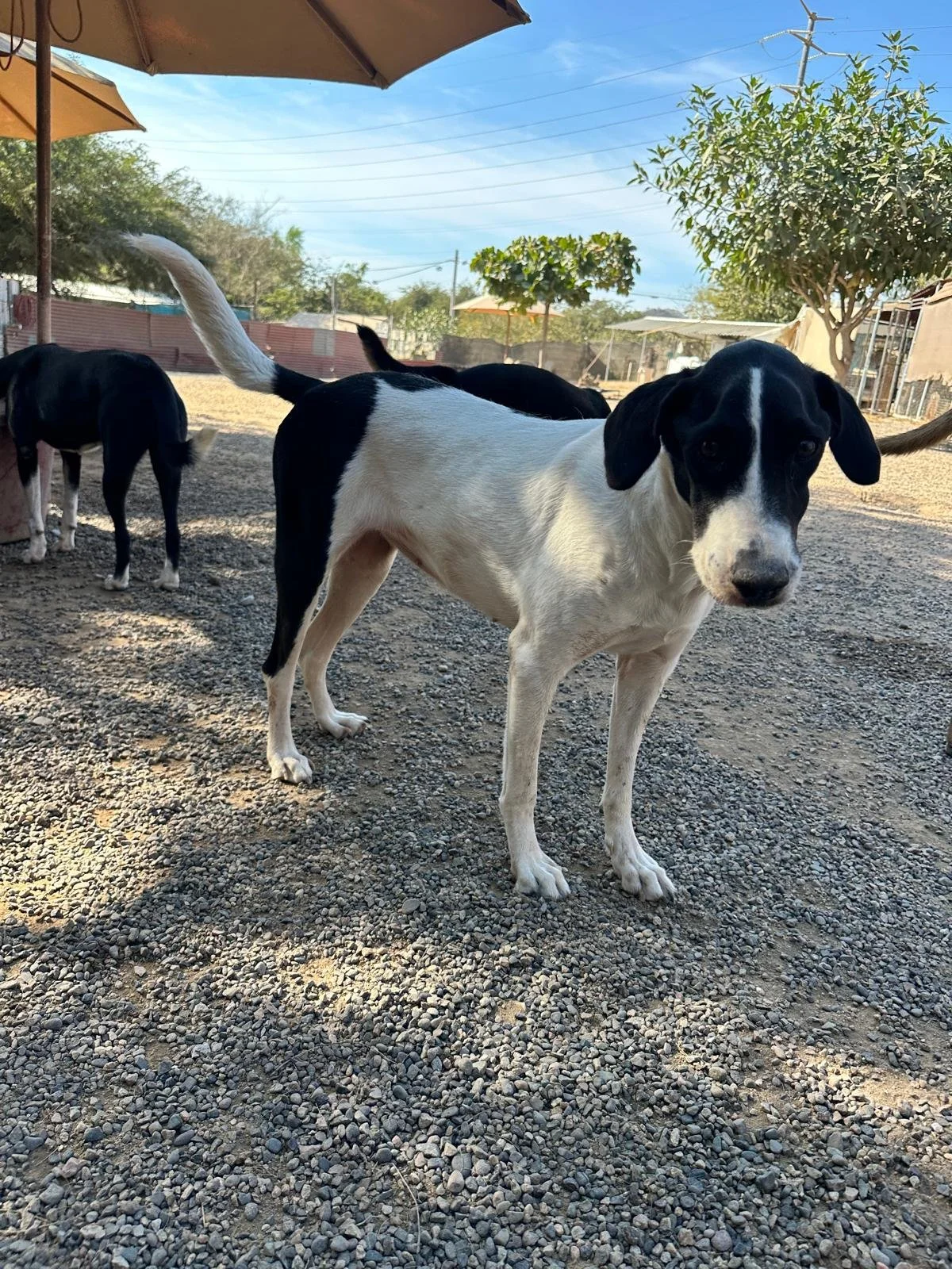 WhatsApp Image 2026-01-10 at 6.23.26 PM (7).jpeg