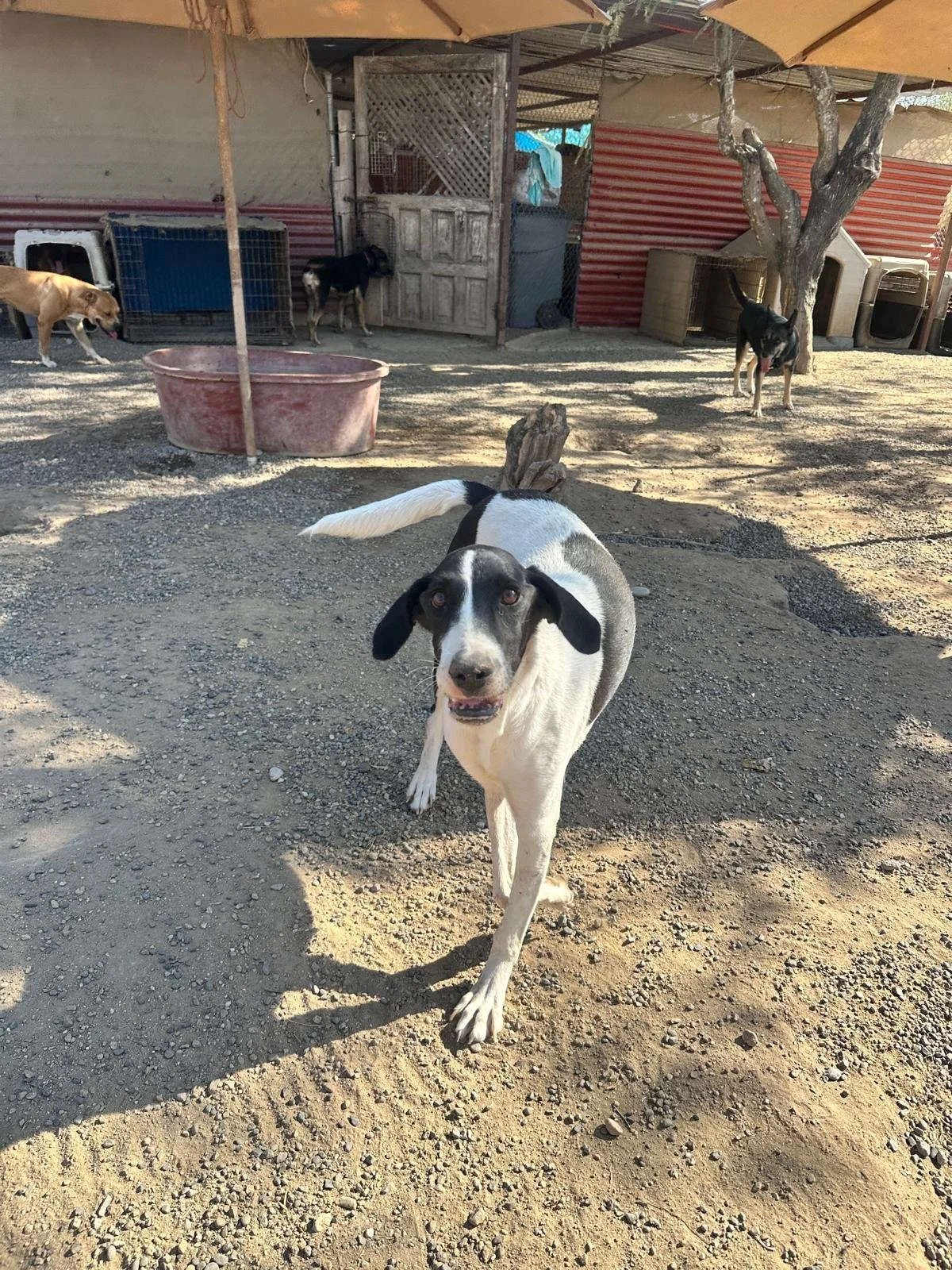 WhatsApp Image 2026-01-10 at 6.23.26 PM.jpeg