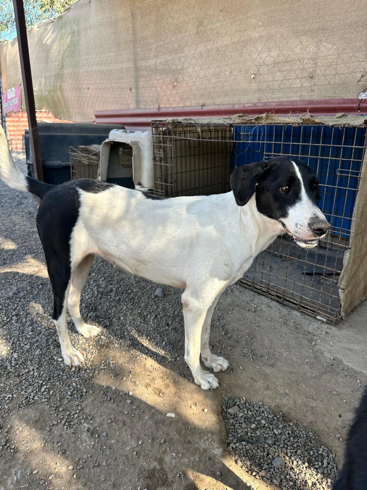 WhatsApp Image 2026-01-10 at 6.23.27 PM.jpeg