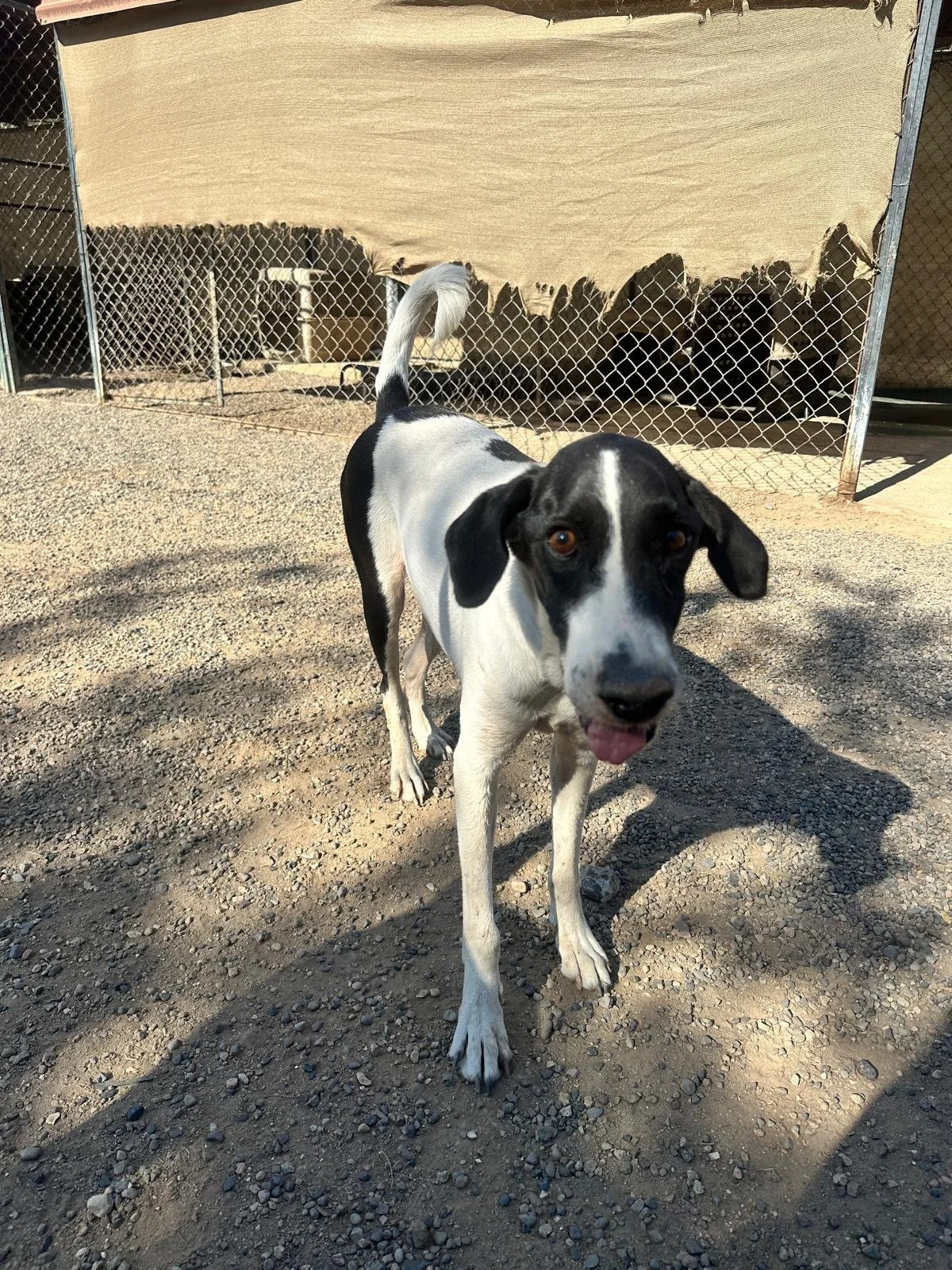 WhatsApp Image 2026-01-10 at 6.23.06 PM.jpeg