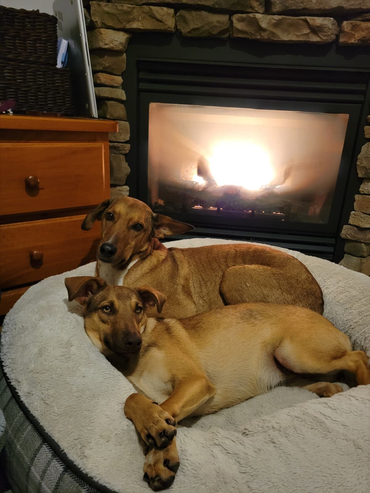 WhatsApp Image 2026-01-11 at 7.17.39 PM.jpeg