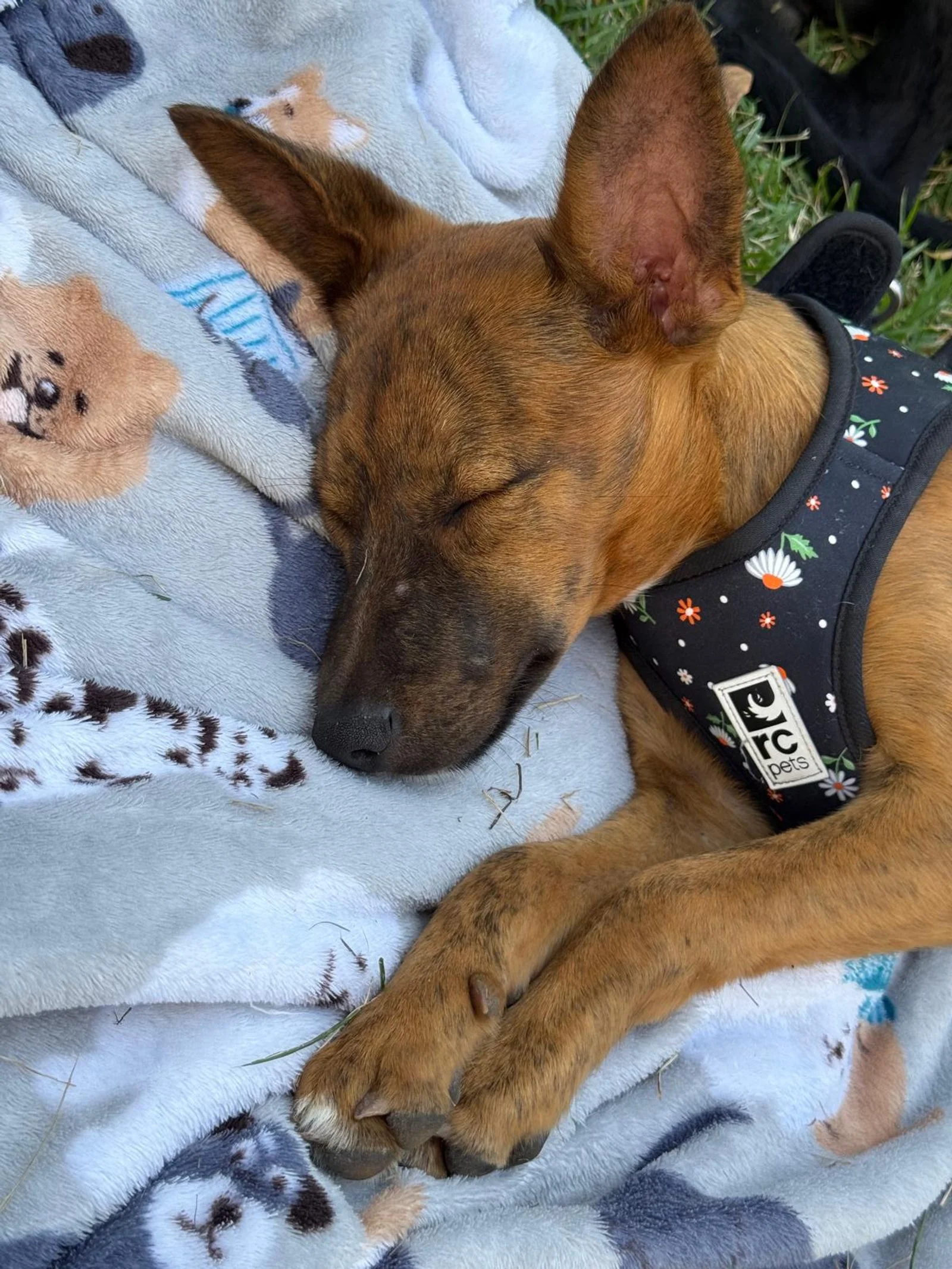 WhatsApp Image 2026-01-12 at 10.39.47 AM.jpeg