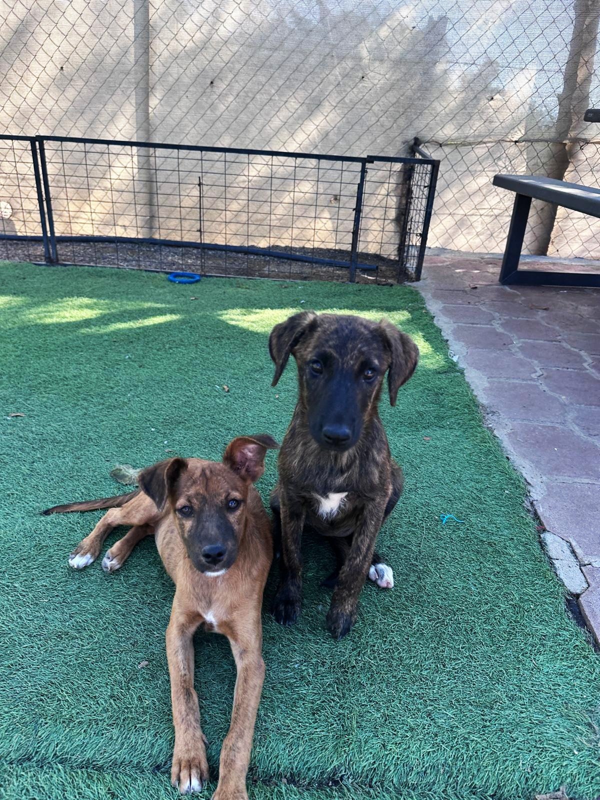 WhatsApp Image 2026-01-12 at 1.21.16 PM.jpeg