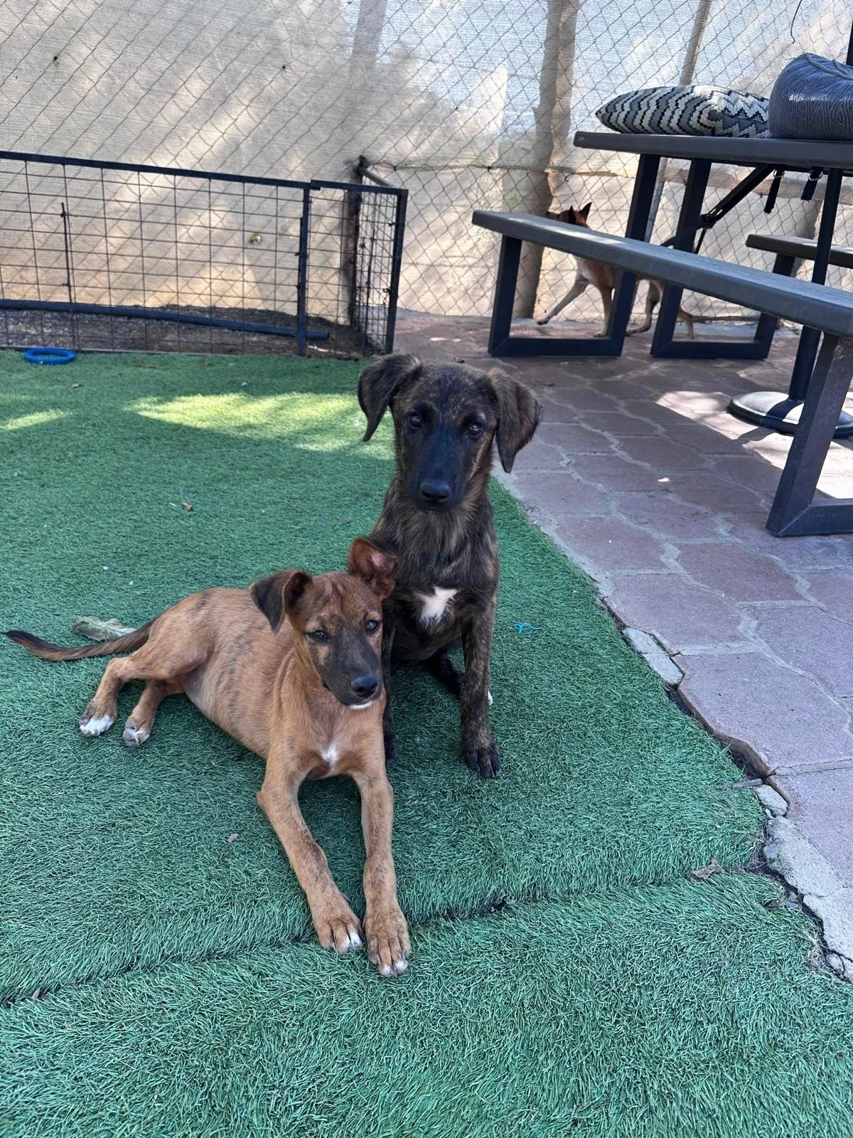 WhatsApp Image 2026-01-12 at 1.21.39 PM.jpeg