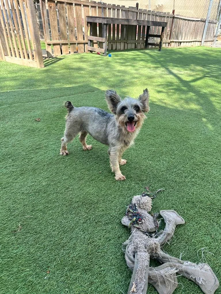 WhatsApp Image 2026-01-12 at 1.57.05 PM.jpeg