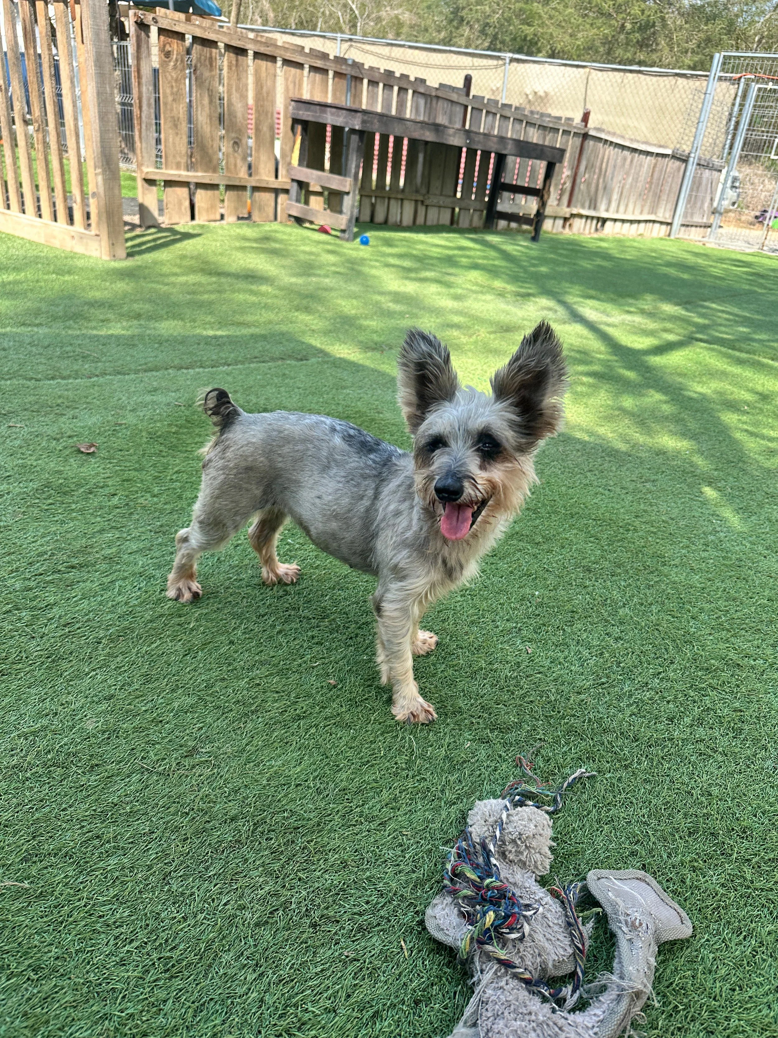 WhatsApp Image 2026-01-12 at 2.00.31 PM.jpeg