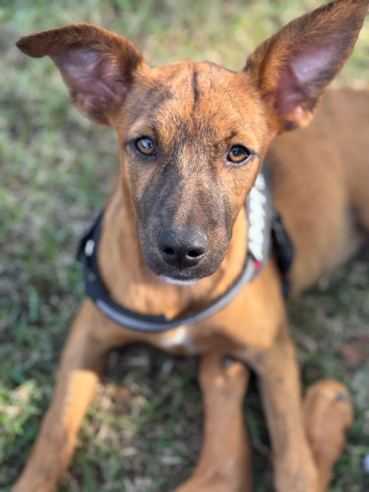 WhatsApp Image 2026-01-14 at 12.36.40 PM.jpeg