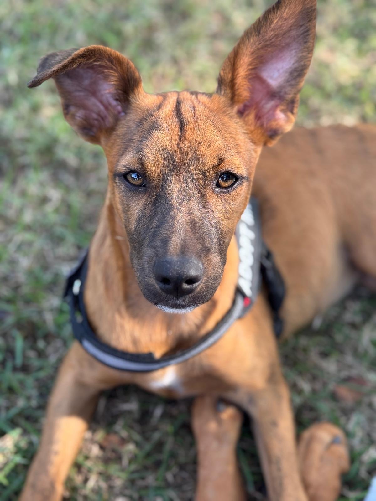 WhatsApp Image 2026-01-14 at 12.55.48 PM.jpeg