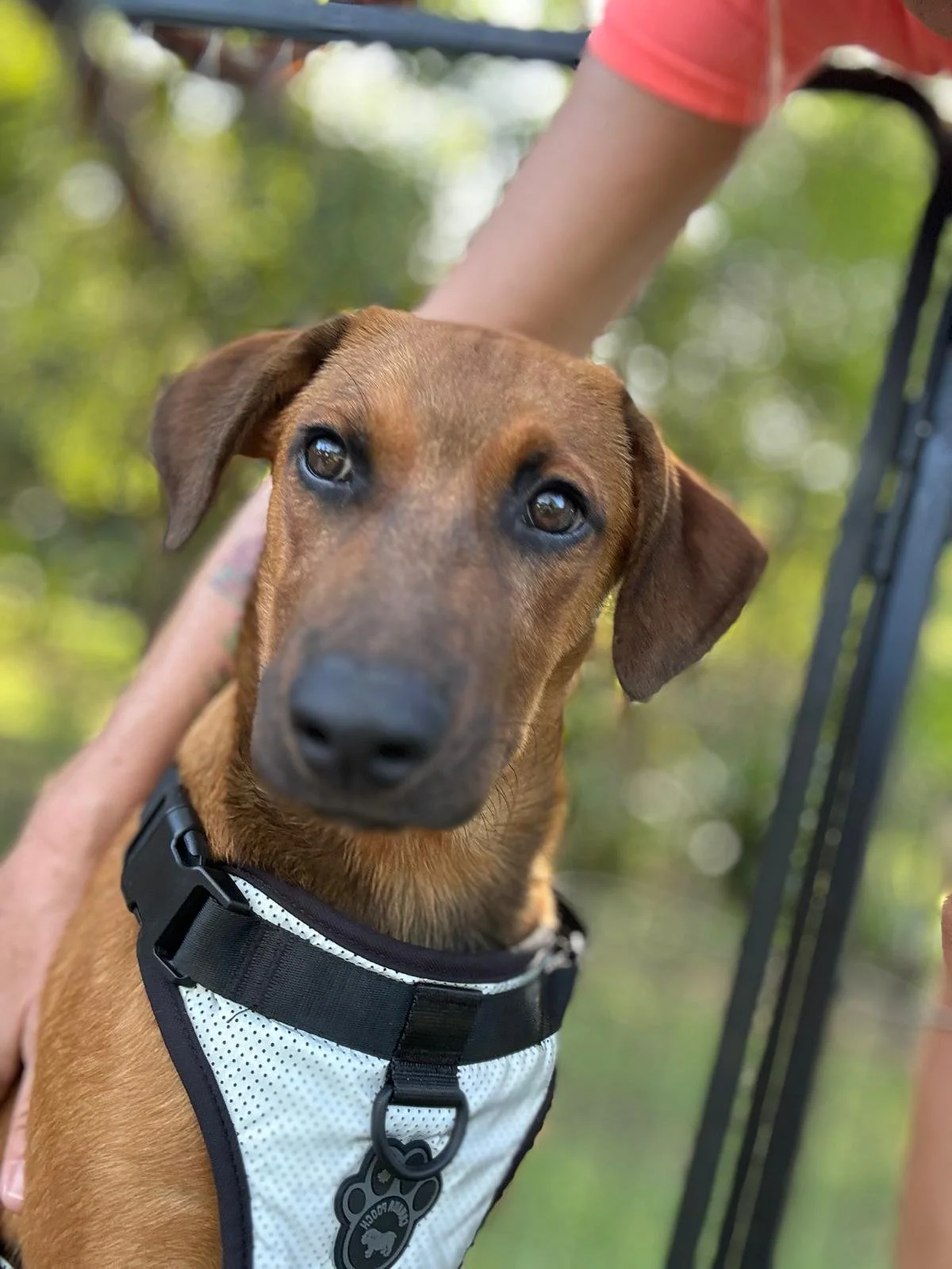 WhatsApp Image 2026-01-14 at 1.04.45 PM.jpeg