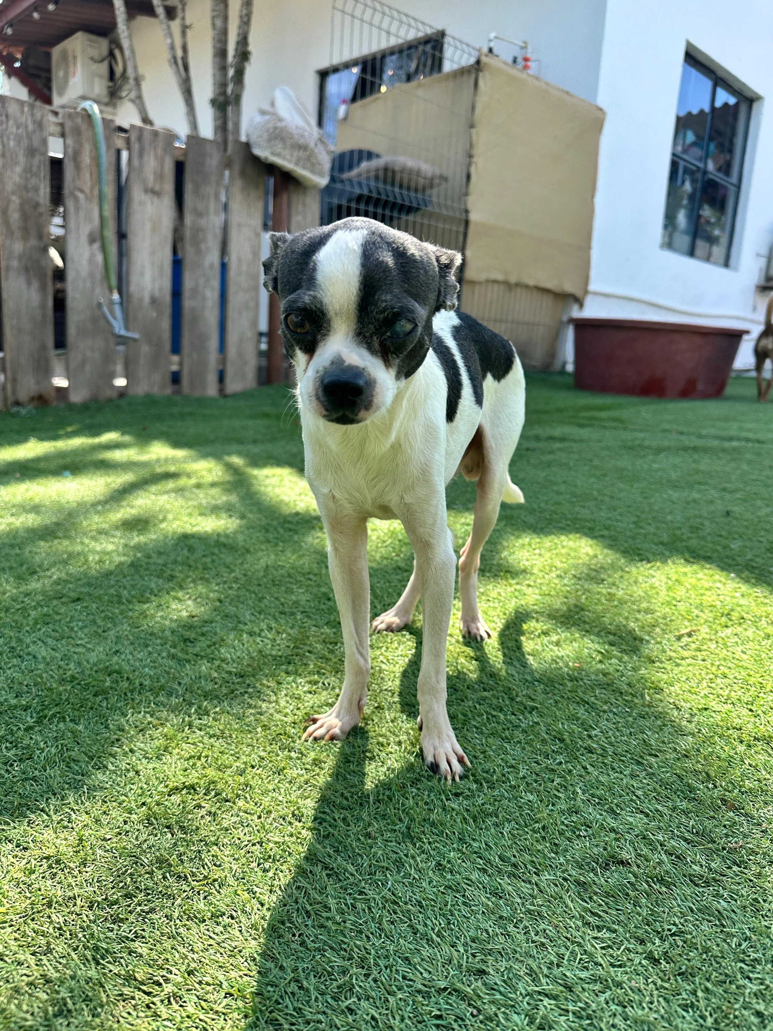 WhatsApp Image 2026-01-14 at 2.23.36 PM.jpeg