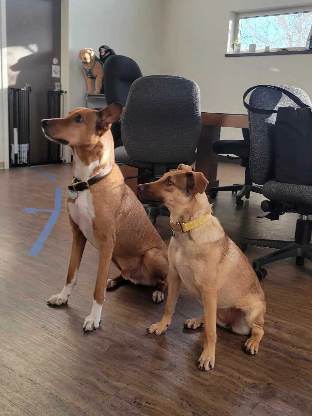 Verona 1-16-26 A.jpeg