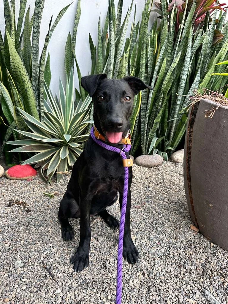 WhatsApp Image 2026-01-17 at 5.34.14 PM.jpeg